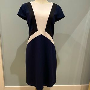Navy, Black and White Shift Dress